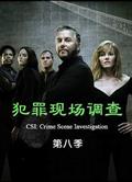CSI：犯罪現場調查：拉斯維加斯第八季