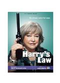 哈莉與法律第一季/鞋店事務所第一季 Harry's Law